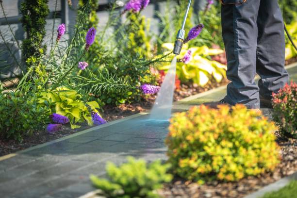 Best Boat and Dock Cleaning  in Vestavia Hills, AL